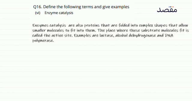 Q16. Define the following terms and give examples(vi) Enzyme catalysis
