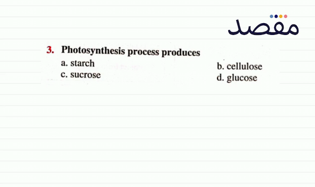 3. Photosynthesis process producesa. starchb. cellulosec. sucrosed. glucose