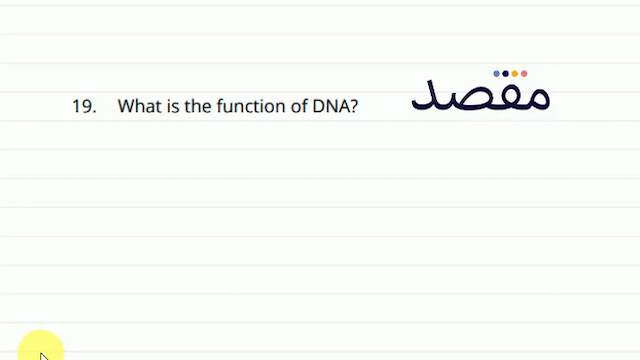 19. What is the function of DNA?
