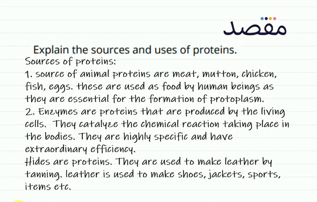 Explain the sources and uses of proteins.
