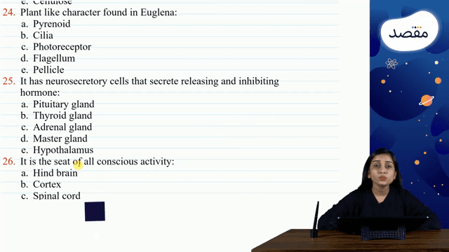 Thumbnail for Mock 2.2