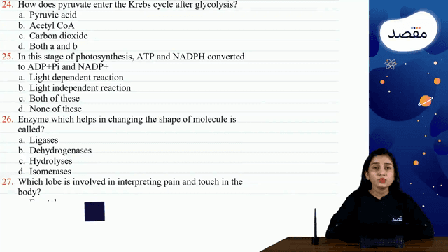 Thumbnail for Mock 3.02