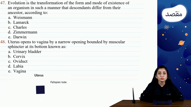 Thumbnail for Mock 2.3