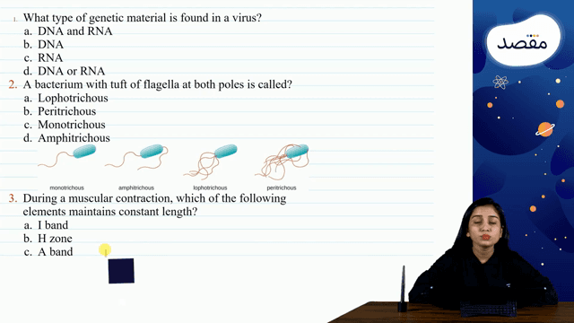 Thumbnail for Mock 3.01