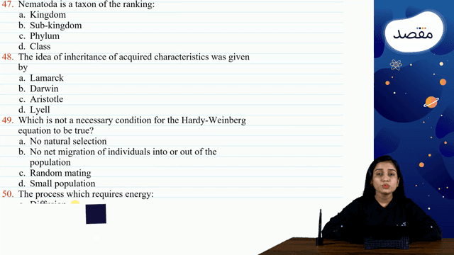 Thumbnail for Mock 3.03