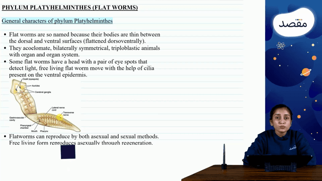 Thumbnail for 13. Diversity Among Animals - Part 2