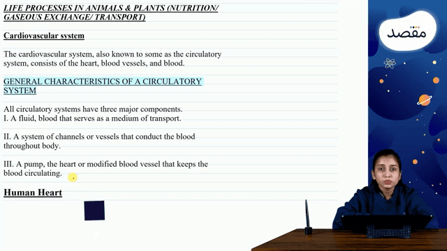 Thumbnail for 18. Life Processes In Plants And Animals - Part 2