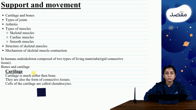 Thumbnail for 26. Support And Movement - Part 1