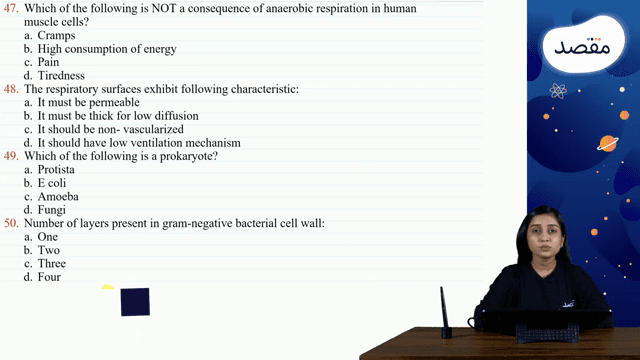 Thumbnail for Mock 1.3