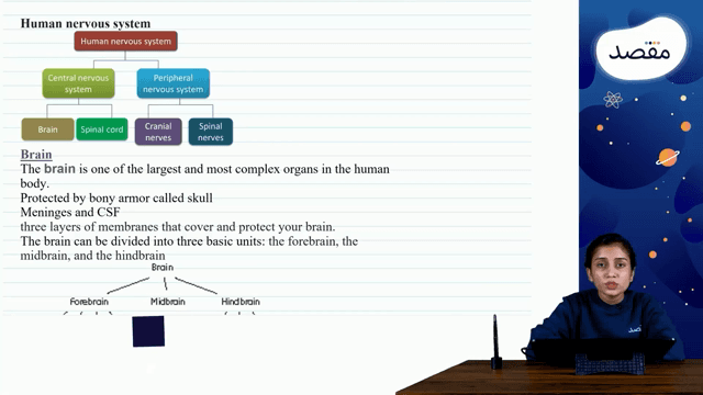 Thumbnail for 10. Coordination And Control - Part 2