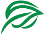 The Citizens Foundation logo